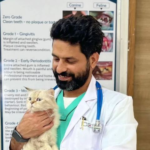 Dr. Hardeep Beniwal, AVC Multispeciality Pet Hospital