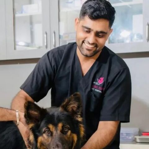 Dr. Shubham Kumar, Healing Touch Pet Hospital