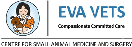 EVA Vets logo